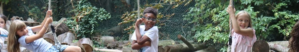 Ripley activity camp